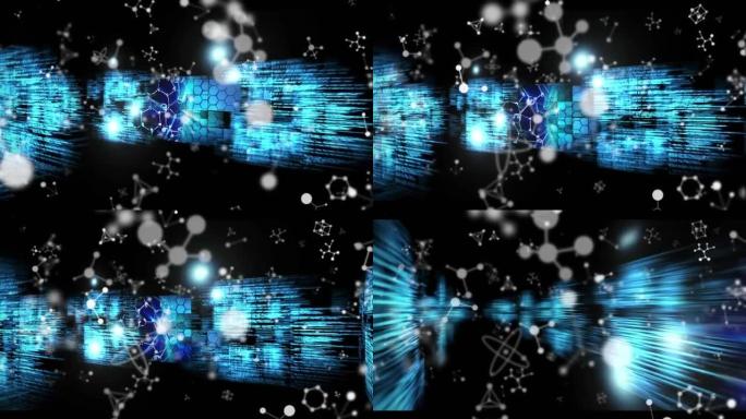 医学数据处理上的分子动画