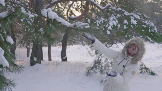 可爱的女孩在冬天的羽绒服压雪从松枝和欢欣鼓舞。快乐的女性在白雪皑皑的松树林中玩雪。美丽的冬季大自然被