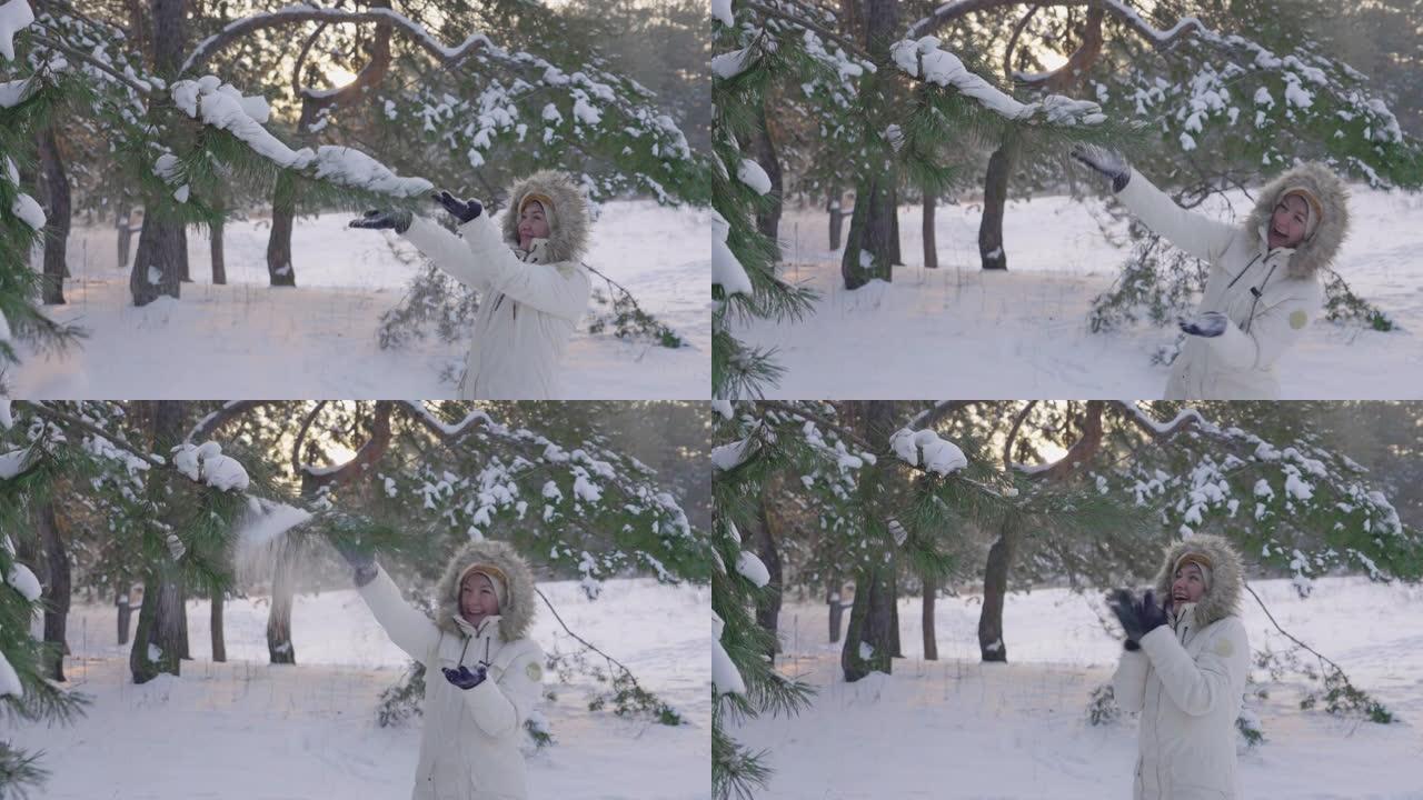 可爱的女孩在冬天的羽绒服压雪从松枝和欢欣鼓舞。快乐的女性在白雪皑皑的松树林中玩雪。美丽的冬季大自然被