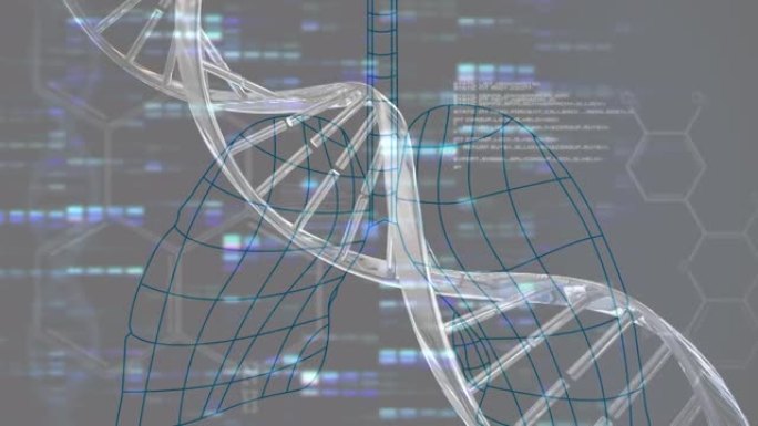 数据处理和数字肺上的dna链动画