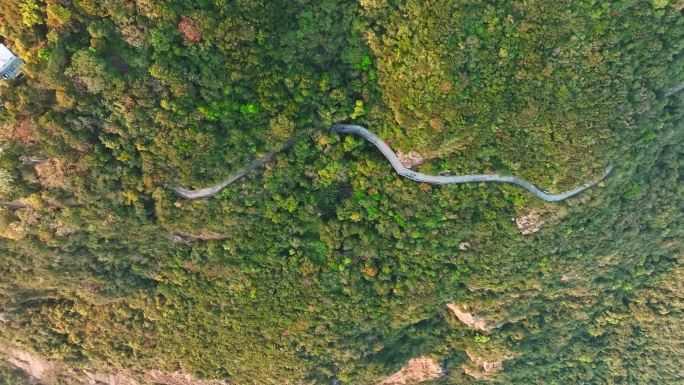 4K正版-航拍香港太平山登山步道01