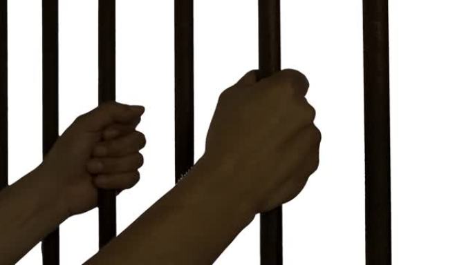 在白色背景下，囚犯手握牢房铁栏。罪犯被关在铁栏上