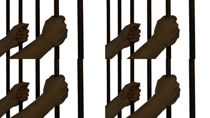 在白色背景下，囚犯手握牢房铁栏。罪犯被关在铁栏上