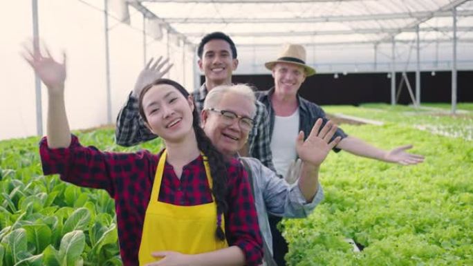 画像群多样化的菜农工人挥手欢迎的手势。水培温室农场有机新鲜收获蔬菜概念