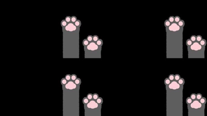 可爱的猫手动画帧重复与阿尔法通道