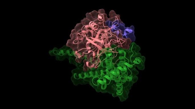 葡凝酶 (绿色) 与人凝血酶异二聚体 (粉蓝色) 复合
