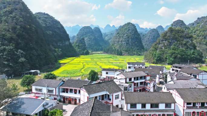 万峰林山间油菜花航拍