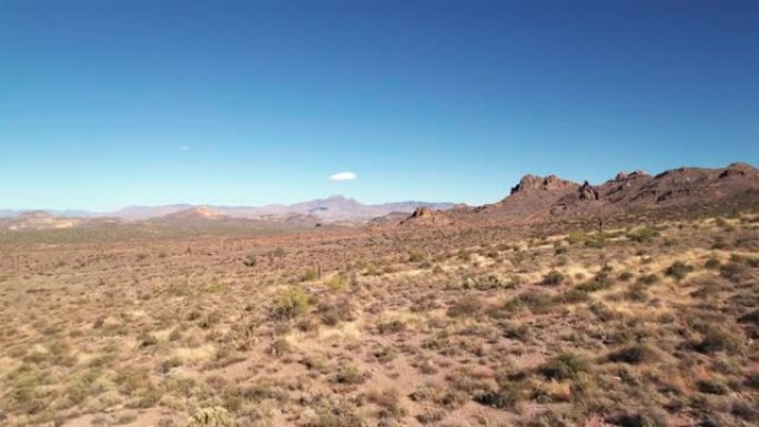 沙漠无人机在仙人掌和鼠尾草上快速飞行，蓝天和山脉背景
