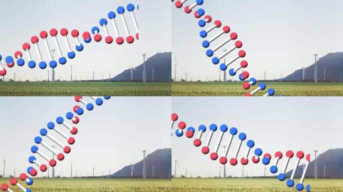 在乡村的风力涡轮机上进行dna链旋转的动画