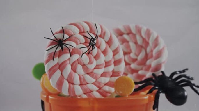 蜘蛛掉在万圣节南瓜桶中，里面装满了白色背景的糖果