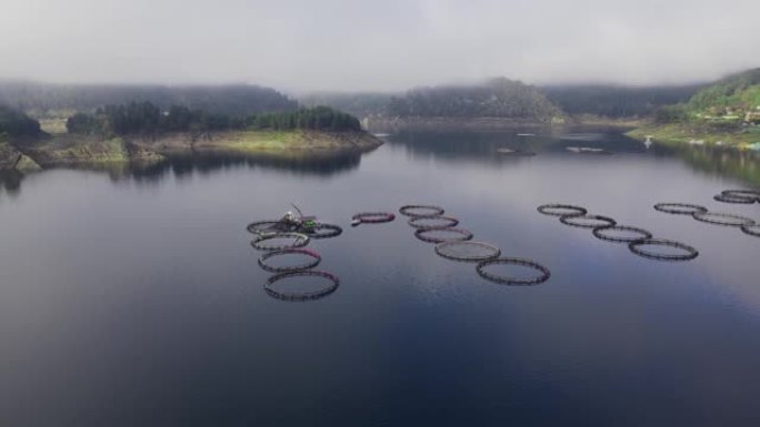湖中圆形笼子鳟鱼养殖场的鸟瞰图