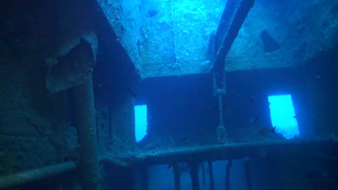在努米底亚沉船内潜水