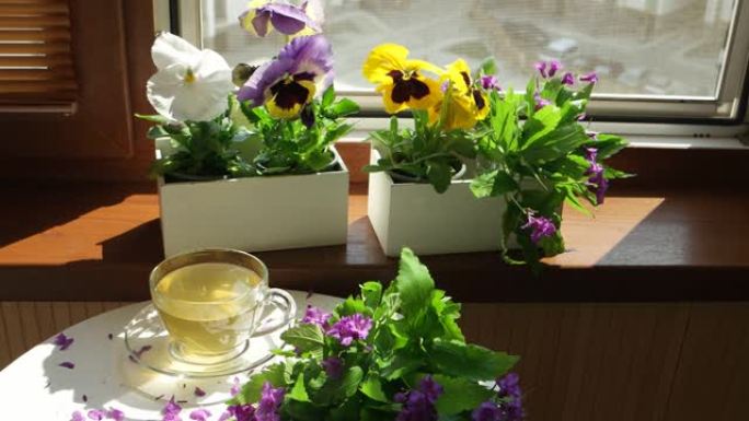 三色堇放在花盒里，在敞开的窗户前喝杯茶