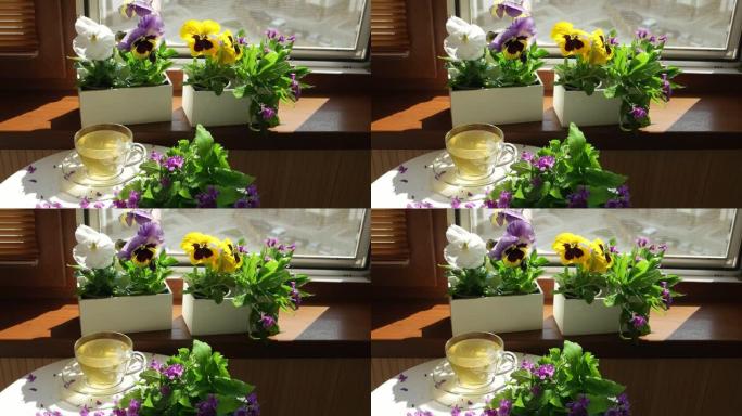 三色堇放在花盒里，在敞开的窗户前喝杯茶