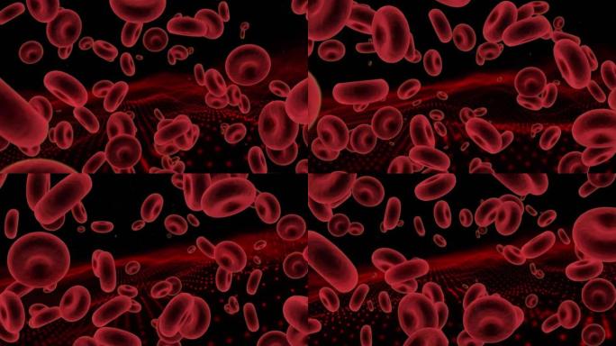 黑色背景上漂浮的血细胞动画