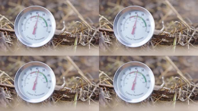 堆肥温度计的大特写显示理想温度