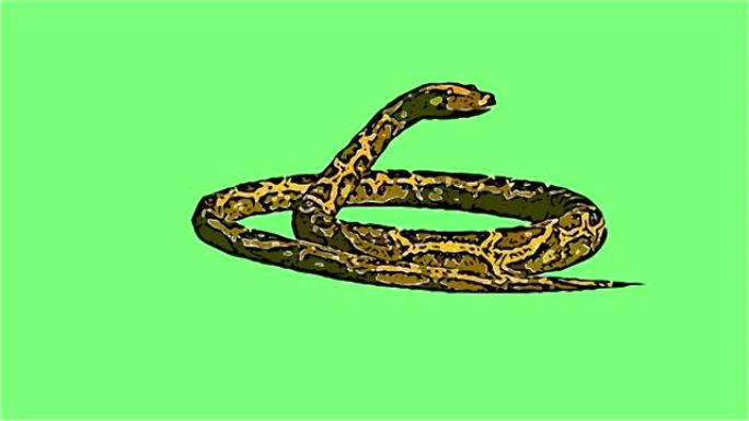 漫画风格的2d动画 -- 绿色屏幕上孤立的蛇蟒蛇