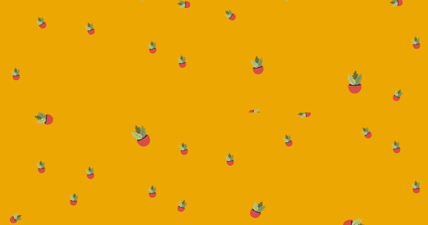 黄色背景上的粉红色盆中的室内植物插图动画