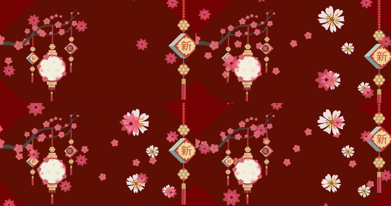 栗色背景上的樱花，鲜花和中国灯笼动画