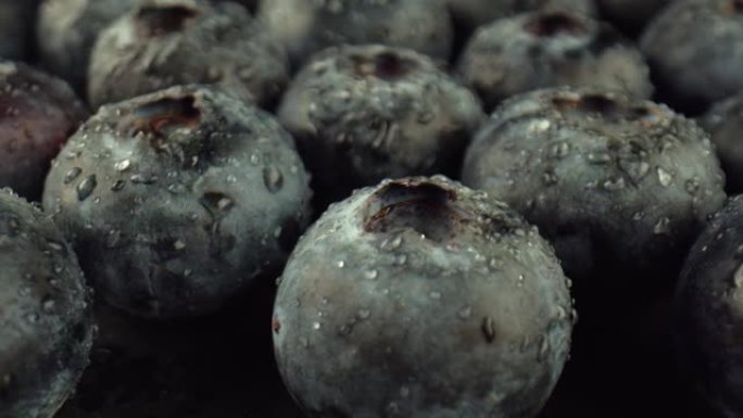 大的深蓝色蓝莓覆盖着水滴。蓝莓用于医药用途。吃蓝莓时降血糖。