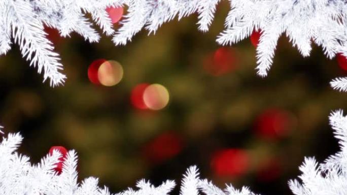 闪烁的圣诞灯上的圣诞白色冷杉树框架动画