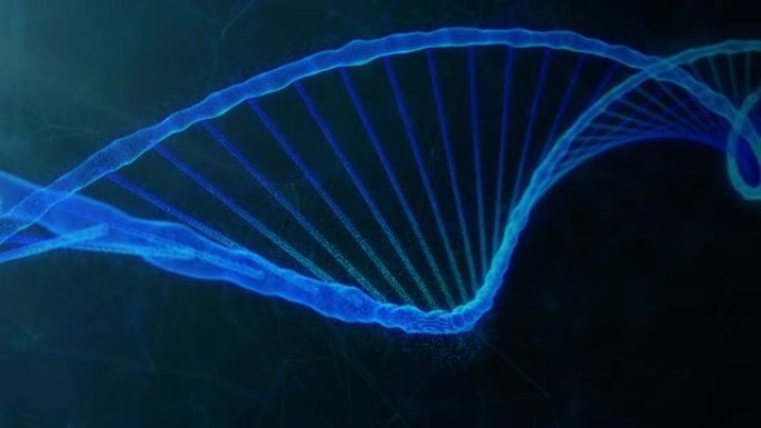 在深黑色背景中具有基因组代码旋转的蓝色dna链可循环