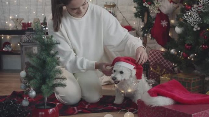 女人在圣诞老人的帽子上给狗穿衣服
