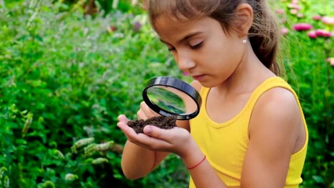 孩子用放大镜研究土壤。选择性聚焦。孩子。