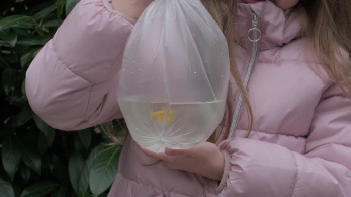 将透明塑料袋中的小金鱼放在户外儿童手中。水族馆，热带鱼的繁殖，爱好。他们在宠物店给女孩买了鱼。Ter