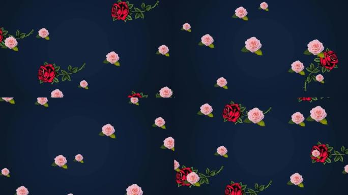 玫瑰在深蓝色背景上漂浮的动画
