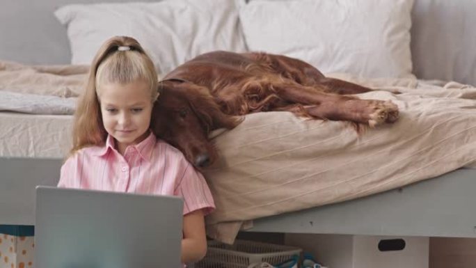 带狗的女孩在笔记本电脑上学习
