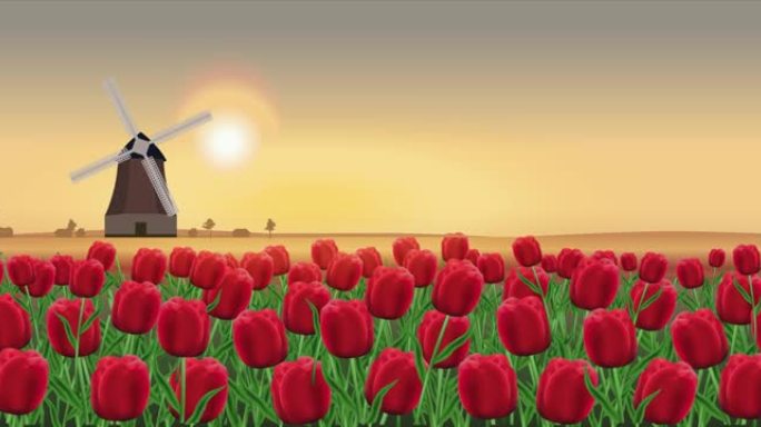 晚间背景下的太阳轨道和荷兰传统风车和一排红色郁金香的气氛的视频插图