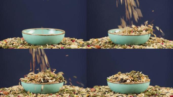 将啮齿动物食物倒入碗中特写旋转。颗粒混合物落在蓝色背景的盘子里。喂养家畜，吃零食。鸟类或老鼠的松脆食