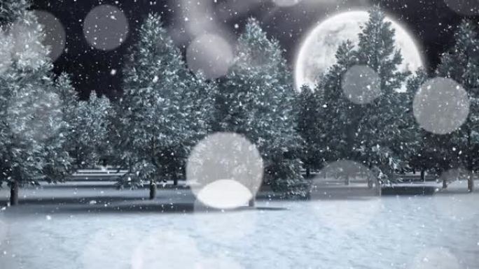 圣诞节时晚上满月落在树上的积雪动画