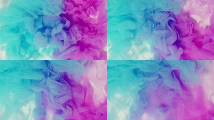 蓝色和粉红色墨水在白色背景下旋转混合