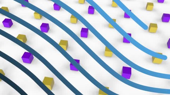 黄色和紫色立方体上的蓝色平行波浪条纹在白色背景上移动的动画