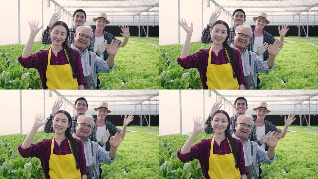 画像群多样化的菜农工人挥手欢迎的手势。水培温室农场有机新鲜收获蔬菜概念
