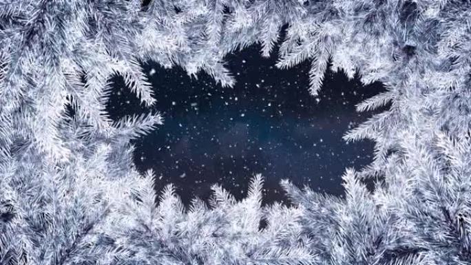 圣诞节白色枞树框架的动画落在黑色背景上的雪上