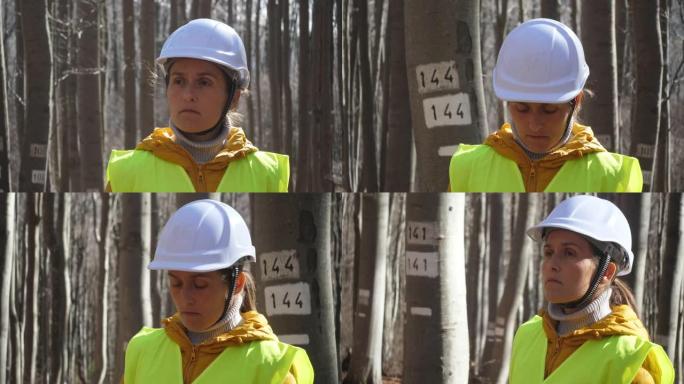 山毛榉森林田野调查的女性生态学家。生态系统关怀和可持续性。