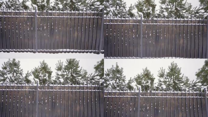一场暴风雪过后，篱笆上覆盖着白雪，房屋上有林木。在下雪的背景上有圣诞树的围栏