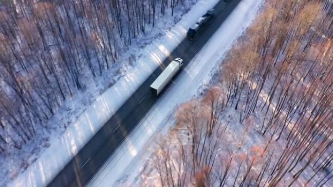 冬季高速公路上的几辆半卡车。卡车运输新车。送货到仓库。高大的树木被雪覆盖。晴天。