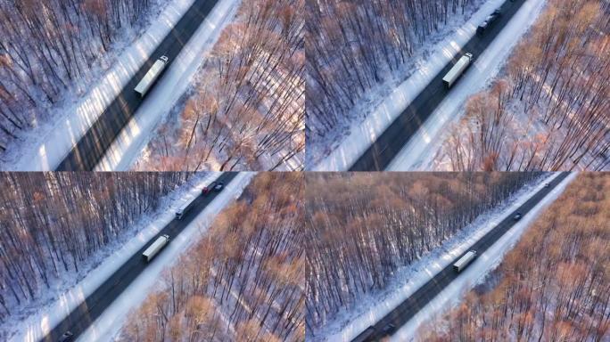 冬季高速公路上的几辆半卡车。卡车运输新车。送货到仓库。高大的树木被雪覆盖。晴天。