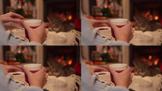 女人在壁炉旁喝一杯咖啡或茶。女孩用毯子盖住自己，她的猫躺在脚上。冬天，她和猫在燃烧的炉子前取暖