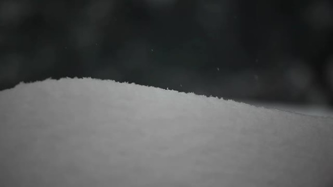 雪树背景的镜头