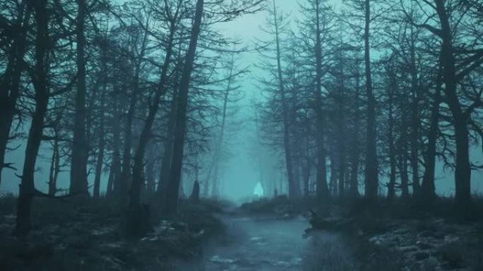 循环夜可怕的森林与飞行的幽灵