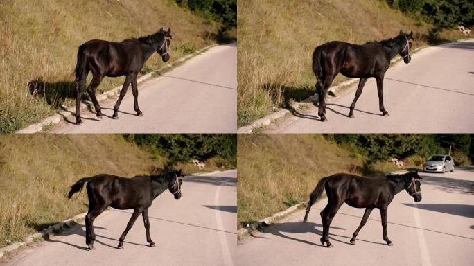 马。马跑到马路上。