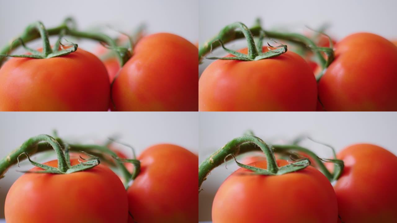 背景视频特写时，在树枝上旋转新鲜的红色樱桃番茄。宏DOF。温室特写镜头中生长的树枝上美丽的红色成熟西