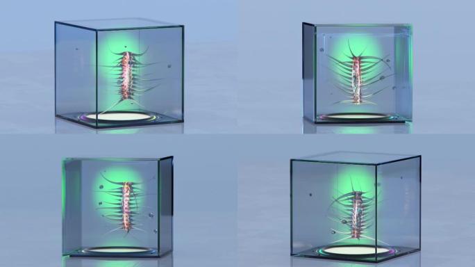 玻璃立方体无缝循环3D渲染动画中的外星物种