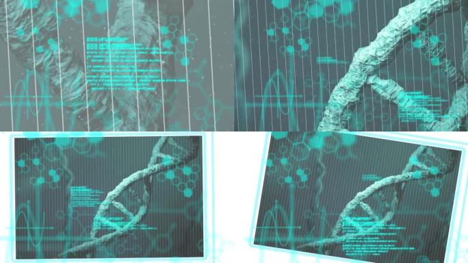 dna链在数据处理上的动画