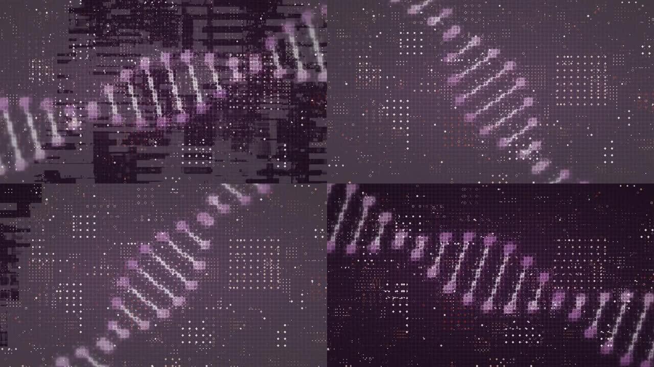 紫色背景下的圆点图案设计上的dna结构数字动画